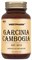 WESTPHARM Gold Line Garcinia Cambogia 500mg (60капс) - фото 13261