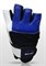 Scitec Nutrition - Перчатки  Blue Style - фото 9107
